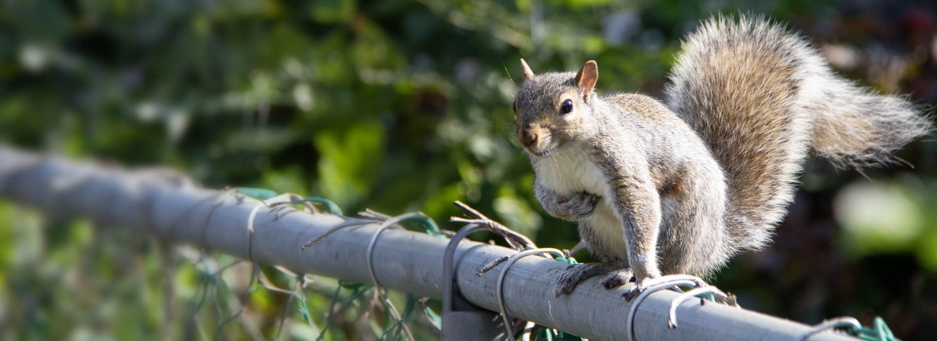 photo catherine verheyden