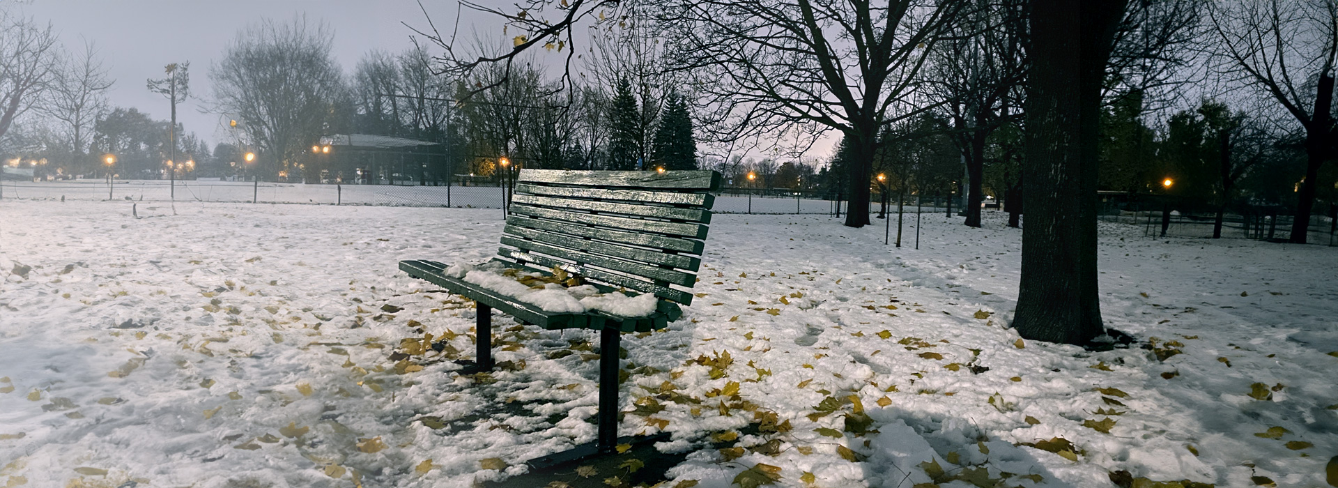 photo catherine verheyden